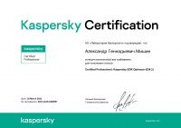 Kaspersky EDR Optimum (024.2)