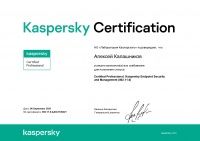 Kaspersky Endpoint Security and Management (002.11.6)